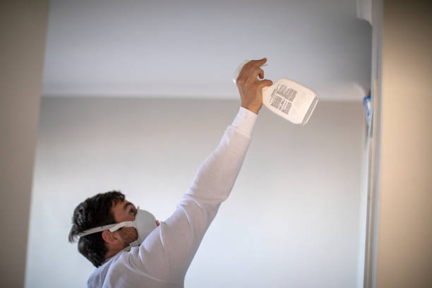 Best DIY Mold Remediation Support Services in South Congaree, SC
