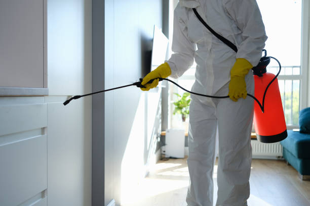 Best Post-Flood Mold Remediation in South Congaree, SC